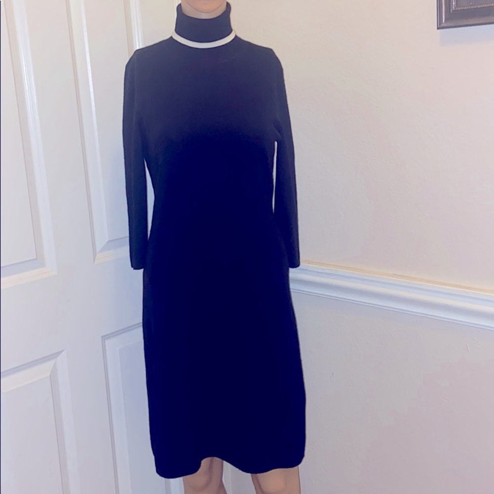 Stylish Ann Taylor Sweater Dress